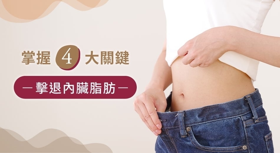 內臟脂肪怎麼減?掌握飲食、運動、睡眠與壓力管理消除內臟脂肪!